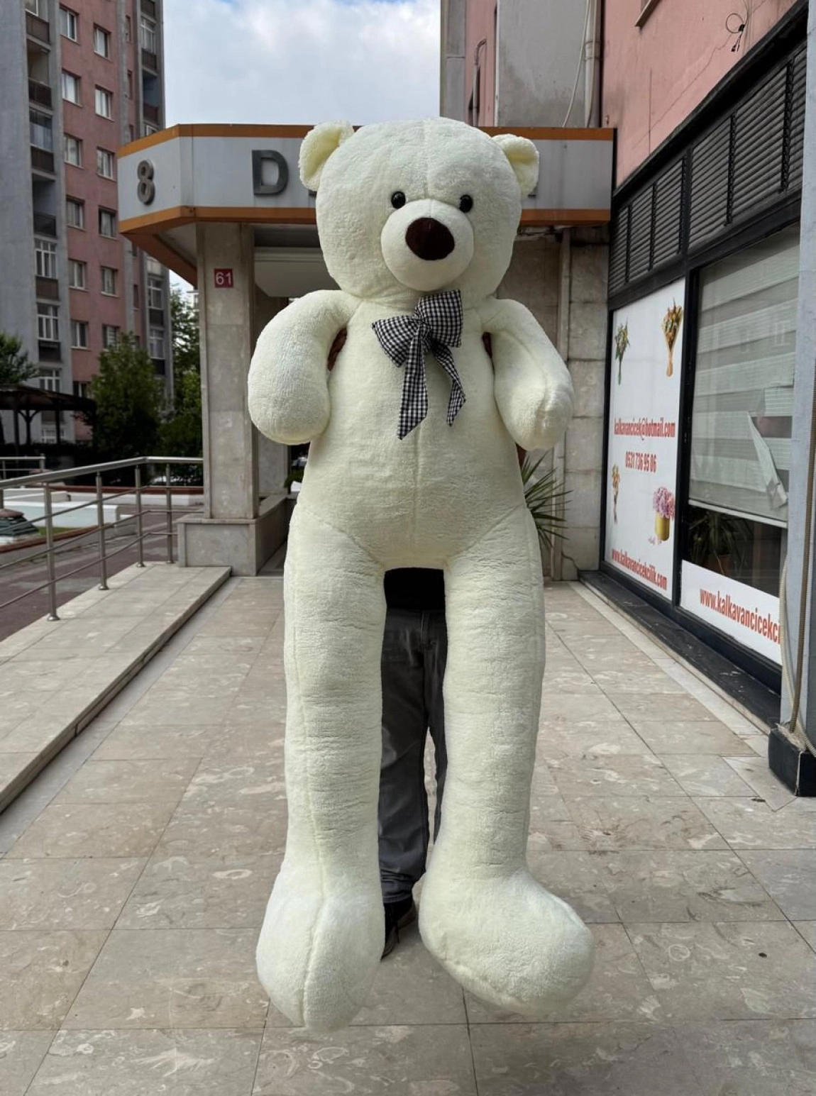 Dev Boy Ekru Renkli Sevimli Peluş Ayıcık